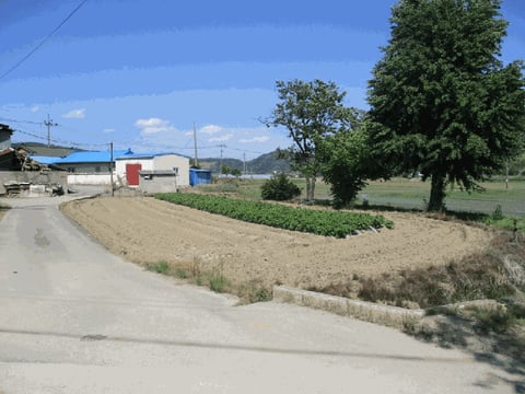 물건 사진 9