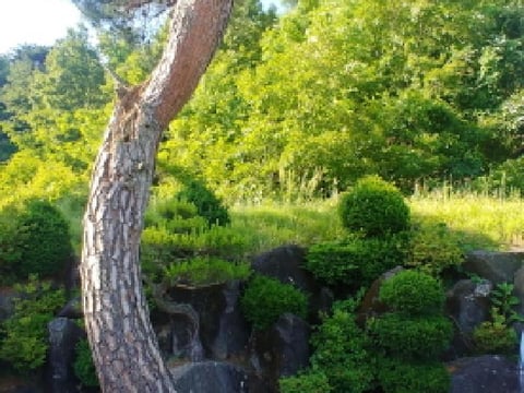물건 사진 30