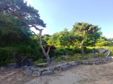 물건 사진 32