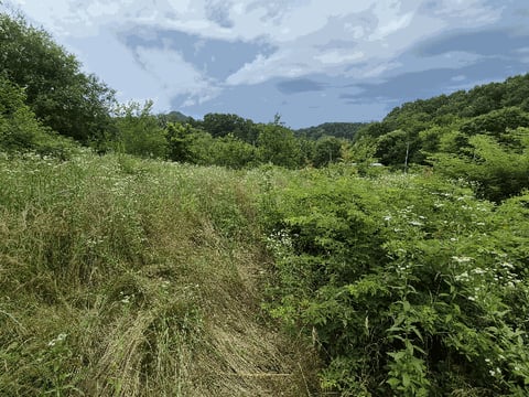 물건 사진 12
