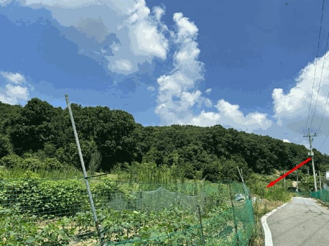 물건 사진 19