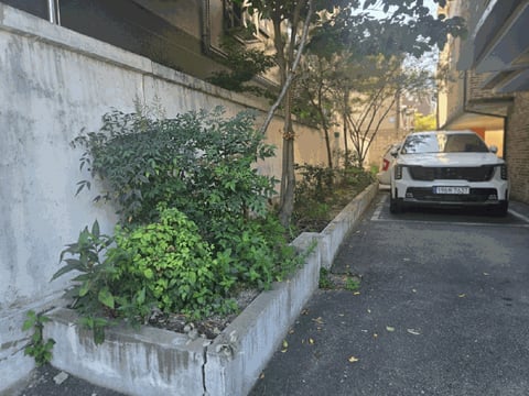 물건 사진 41