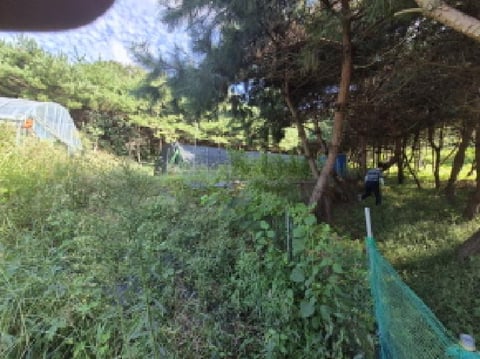 물건 사진 23