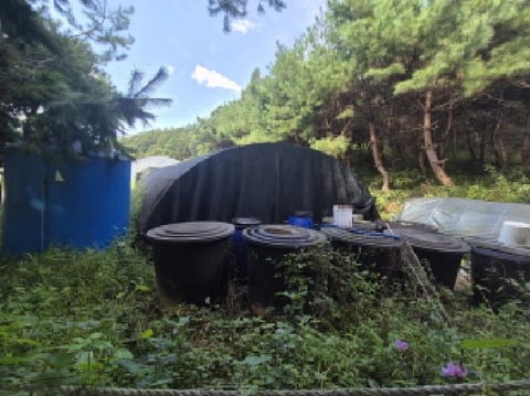 물건 사진 29