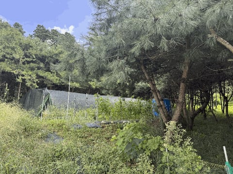 물건 사진 41