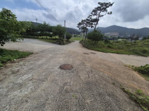 물건 사진 12
