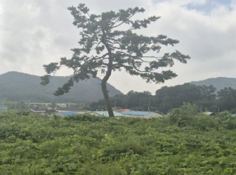 물건 사진 5