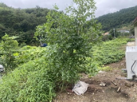 물건 사진 19