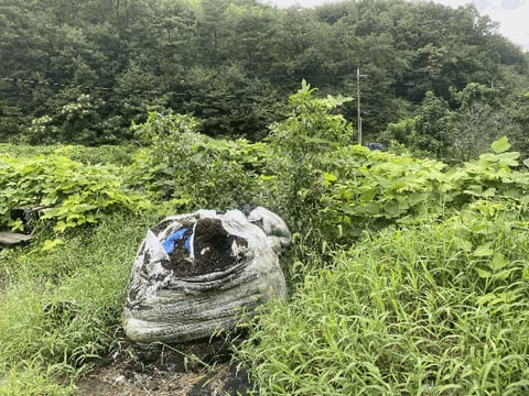 물건 사진 61