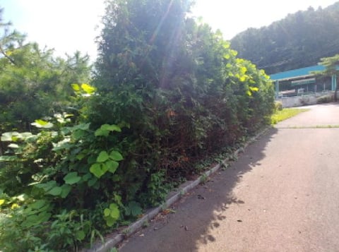 물건 사진 6