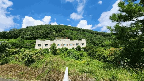 물건 사진 55