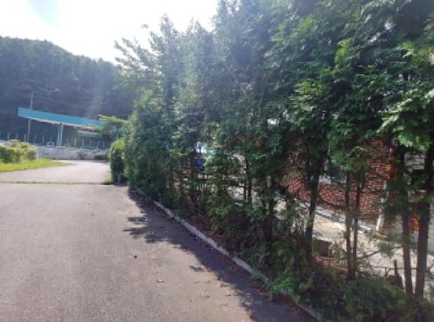 물건 사진 7