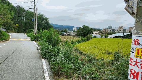 물건 사진 12