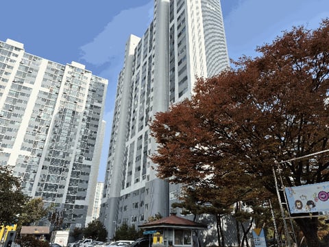 물건 사진 11