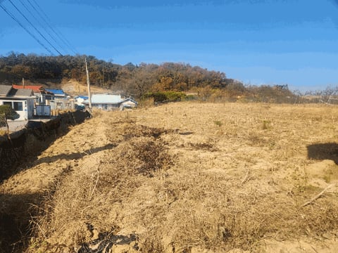 물건 사진 8