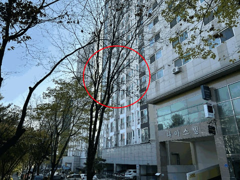 물건 사진 11