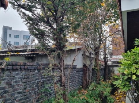물건 사진 5
