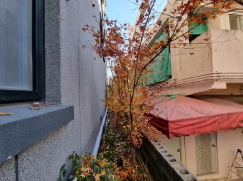 물건 사진 26