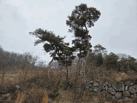 물건 사진 12