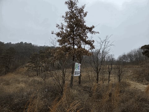 물건 사진 14