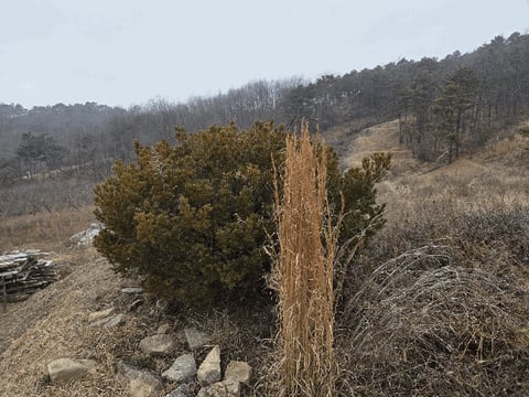 물건 사진 15