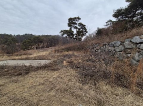 물건 사진 3