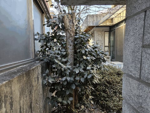 물건 사진 22
