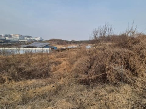 물건 사진 4