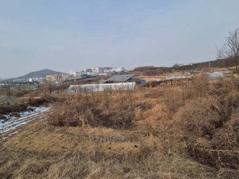 물건 사진 5