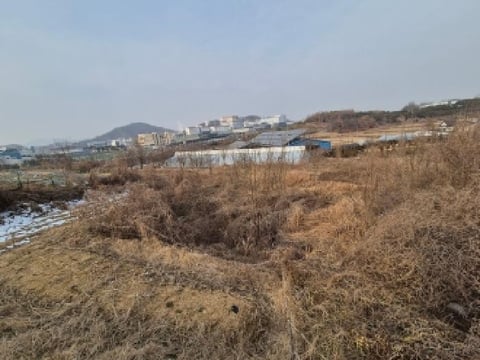 물건 사진 6