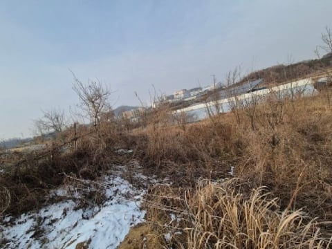 물건 사진 7
