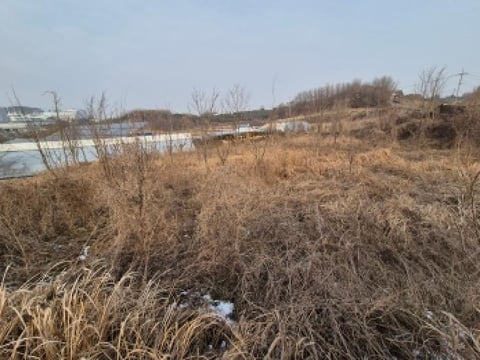 물건 사진 8