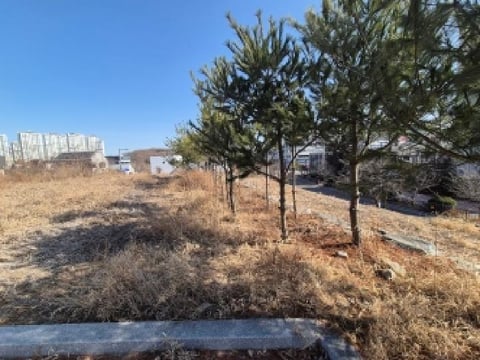 물건 사진 1
