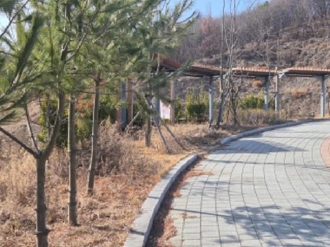 물건 사진 11