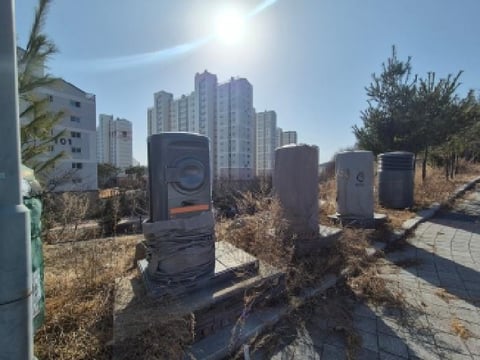 물건 사진 12