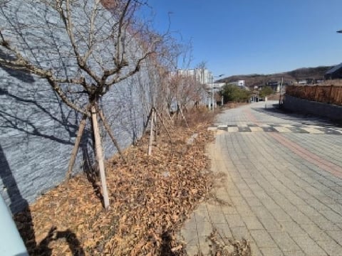 물건 사진 17