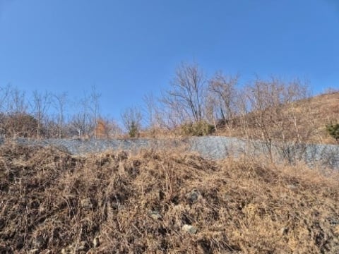 물건 사진 26