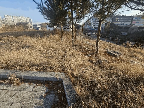 물건 사진 37