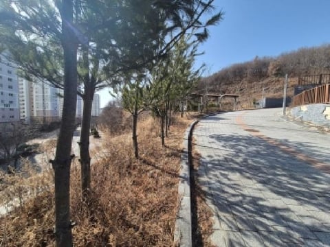 물건 사진 10