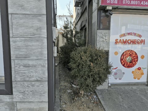 물건 사진 58