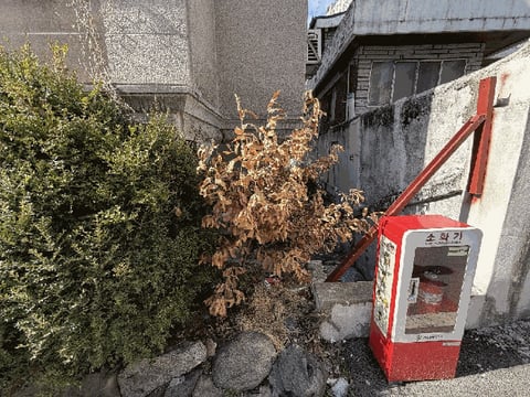 물건 사진 49
