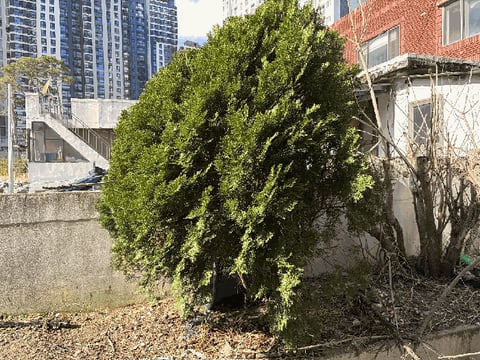 물건 사진 50