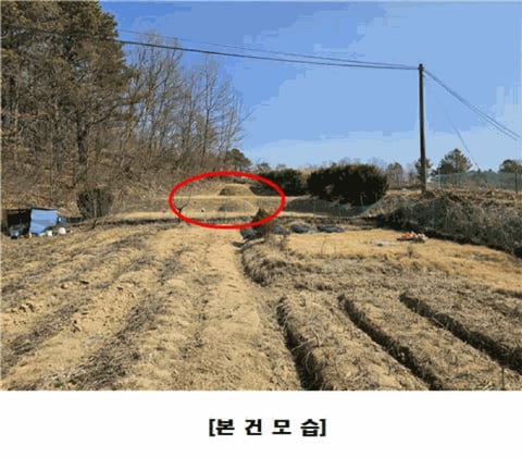 물건 사진 11