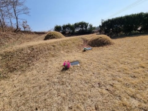물건 사진 5