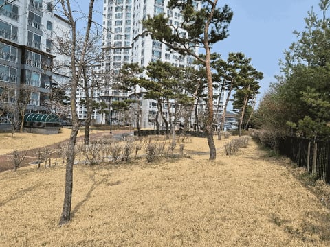 물건 사진 12