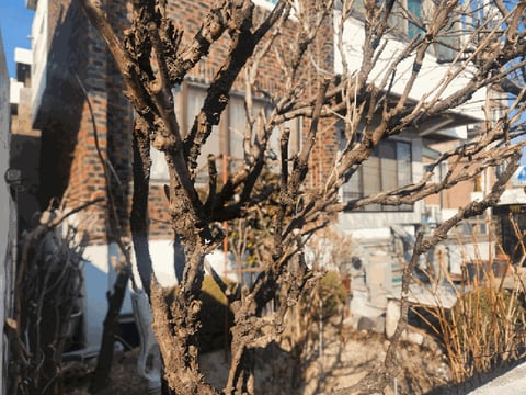 물건 사진 32