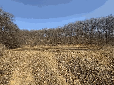 물건 사진 13