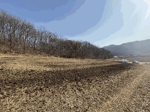 물건 사진 15