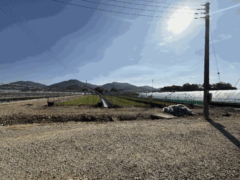 물건 사진 11