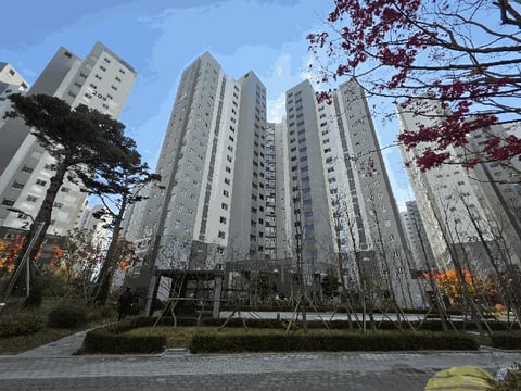 물건 사진 11